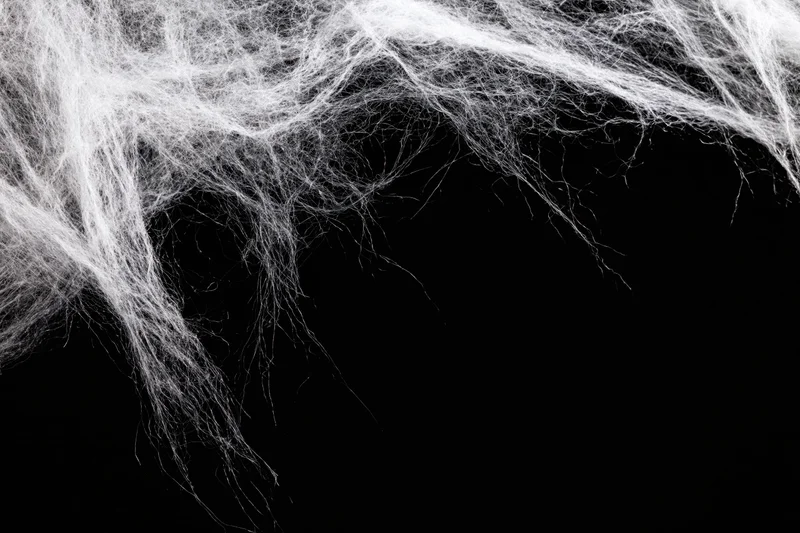 Tangled white artificial spiderweb stretched across the top against black background