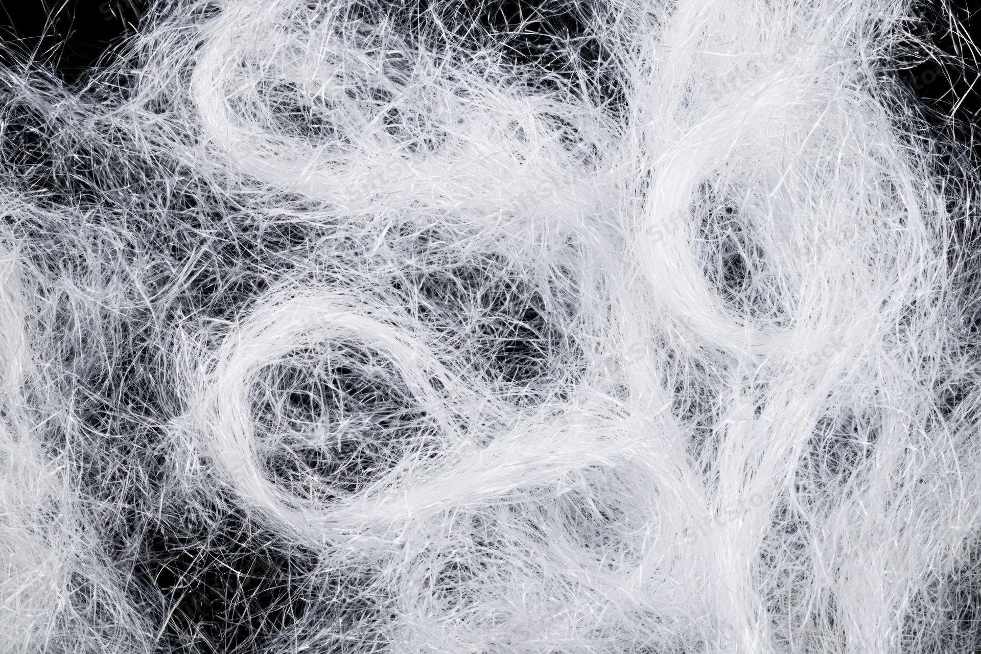 Tangled white fiber filaments forming a soft chaotic texture against black background