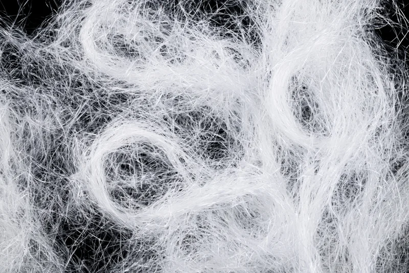 Tangled white fiber filaments forming a soft chaotic texture against black background