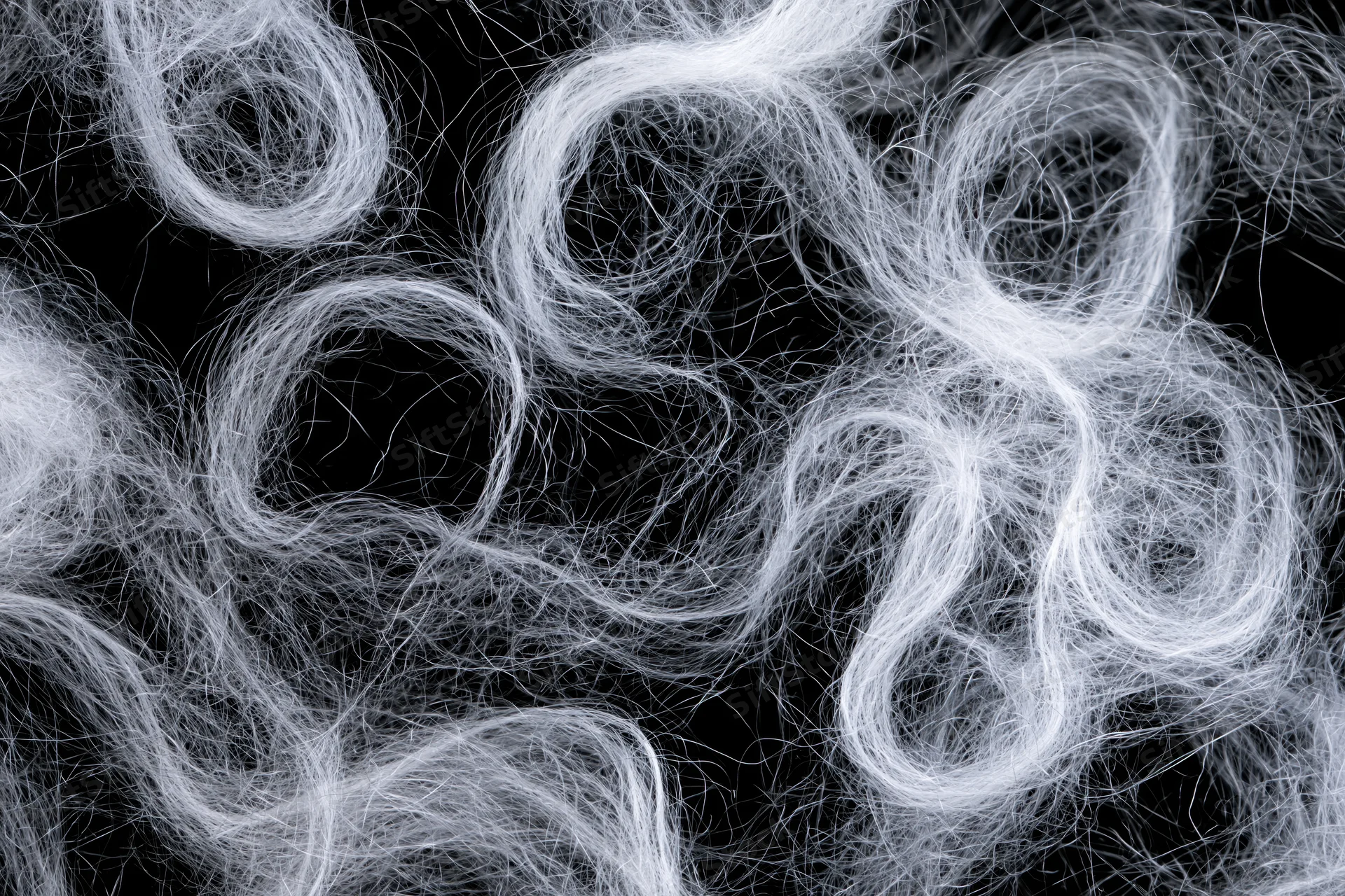 Tangled white hair fibers on black background