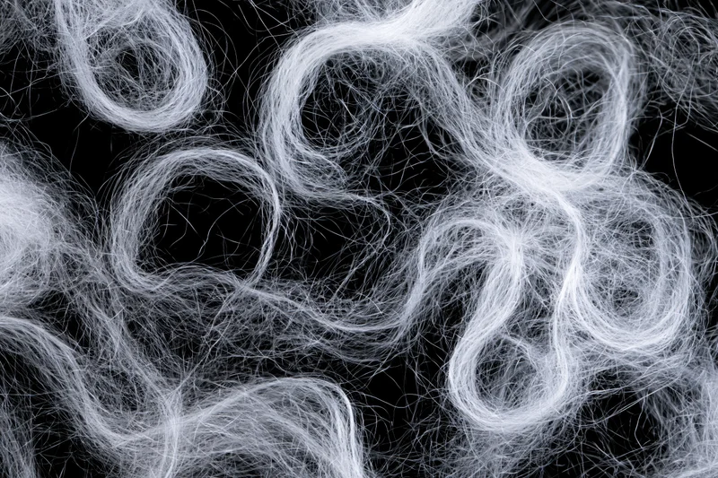 Tangled white hair fibers on black background