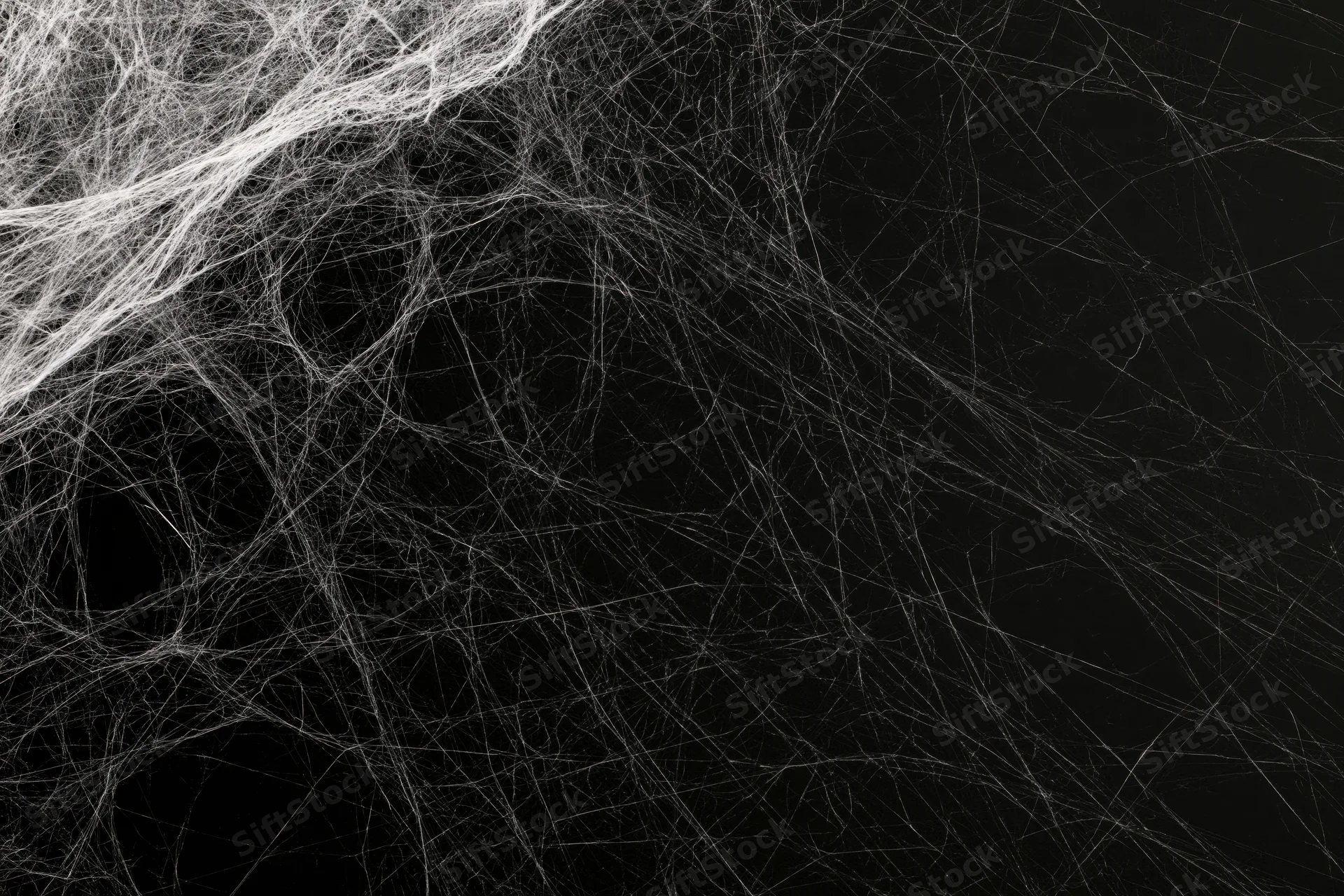 Tangled white spiderweb stretched across black background with copyspace on right
