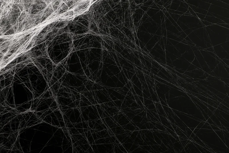 Tangled white spiderweb stretched across black background with copyspace on right