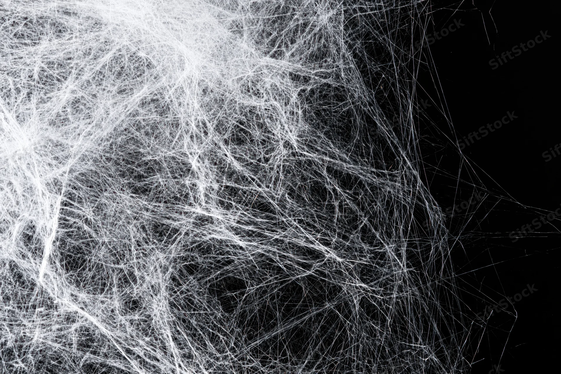 Tangled white spiderweb stretching across black background with chaotic filaments