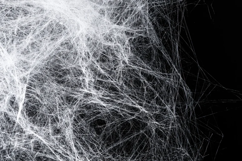 Tangled white spiderweb stretching across black background with chaotic filaments