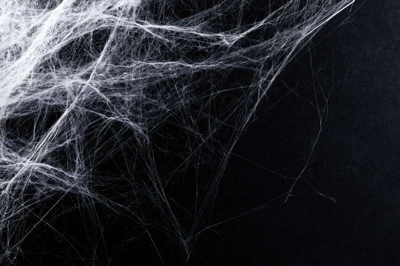 Tangled white spiderweb stretched across dark background with copyspace on right