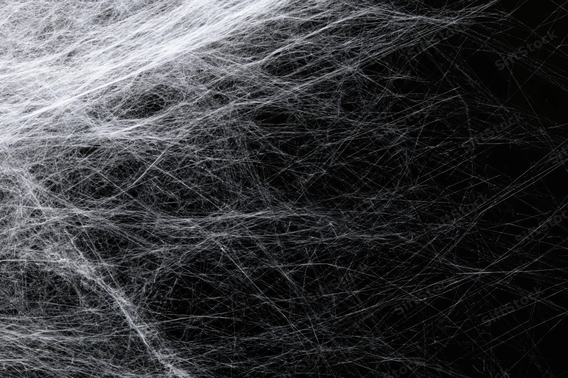 Tangled white spiderweb stretching across black background from upper left corner