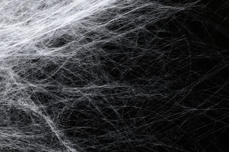 Tangled white spiderweb stretching across black background from upper left corner