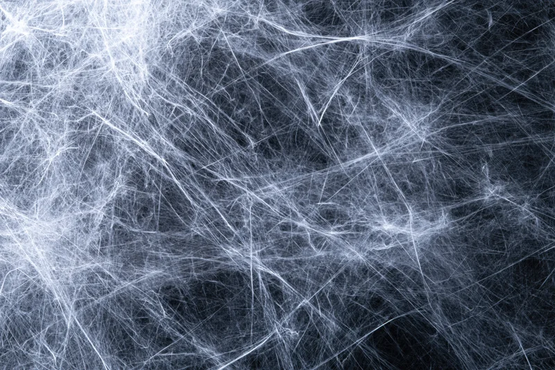 Tangled white spider webs spread across a dark flat surface