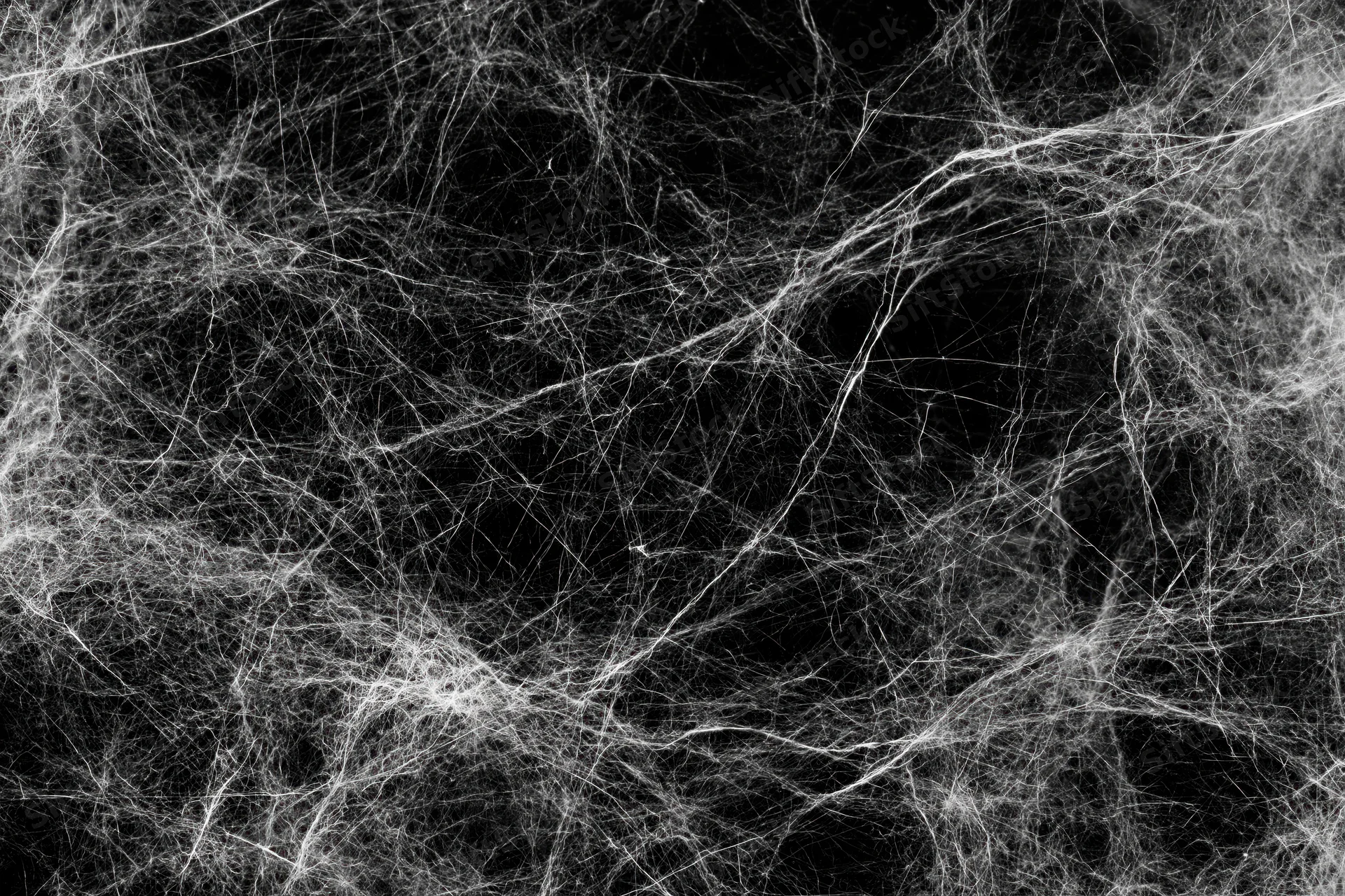 Tangled white spider webs spread across a dark flat surface