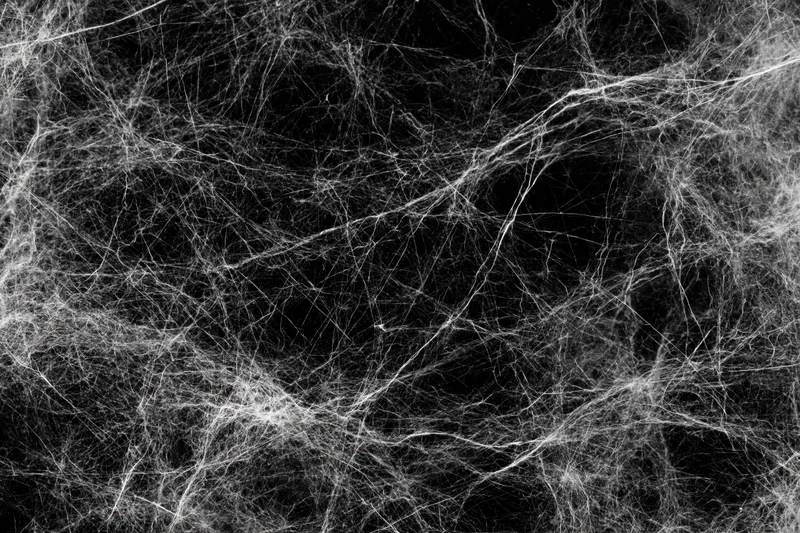Tangled white spider webs spread across a dark flat surface