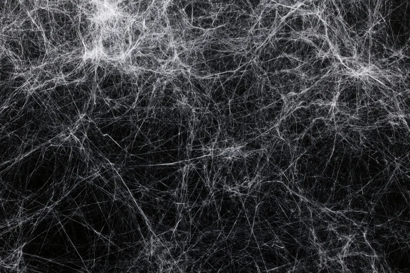 Tangled white spider webs spread across a flat dark surface