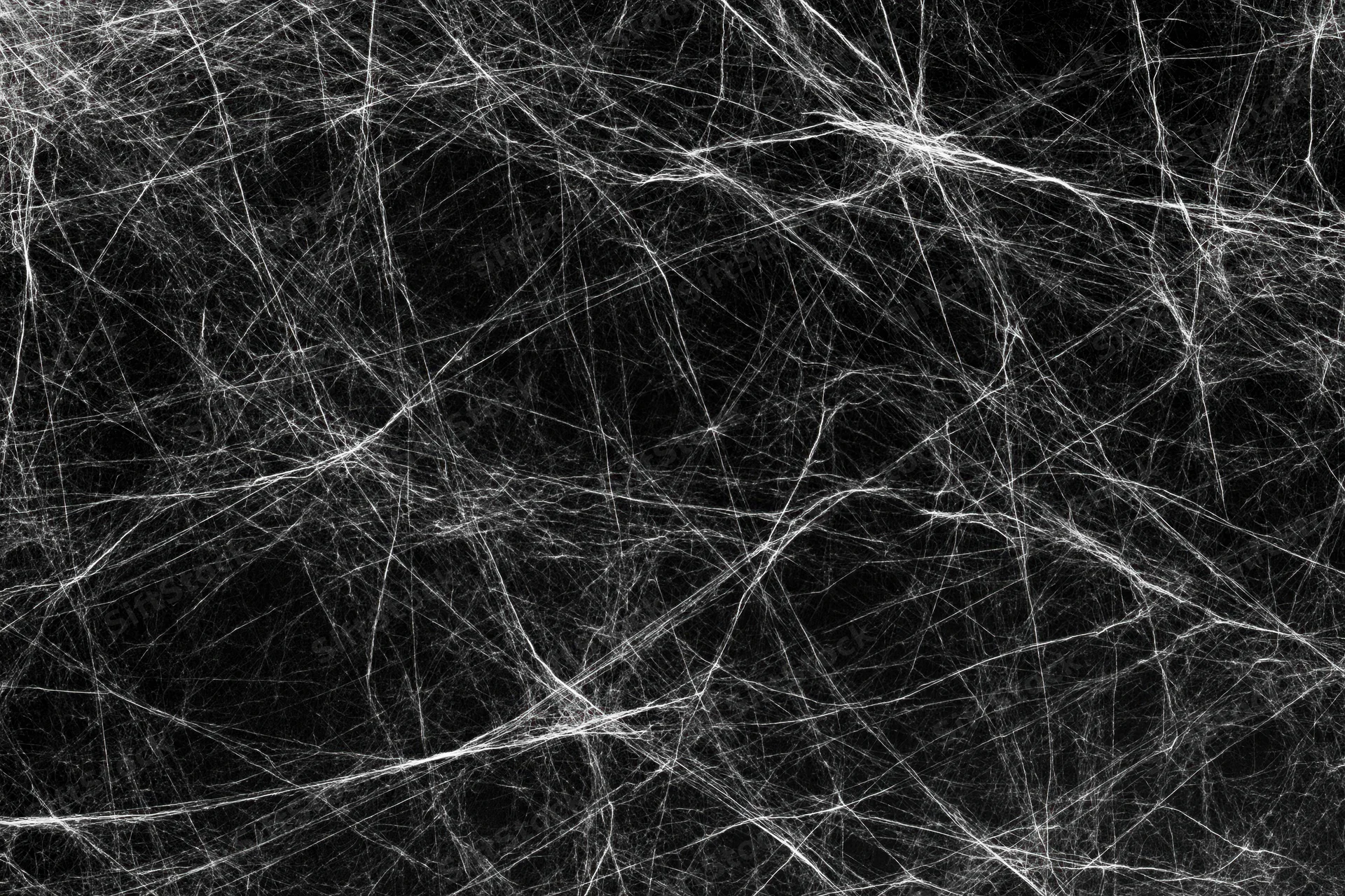 Tangled white spider webs spread across a flat dark surface