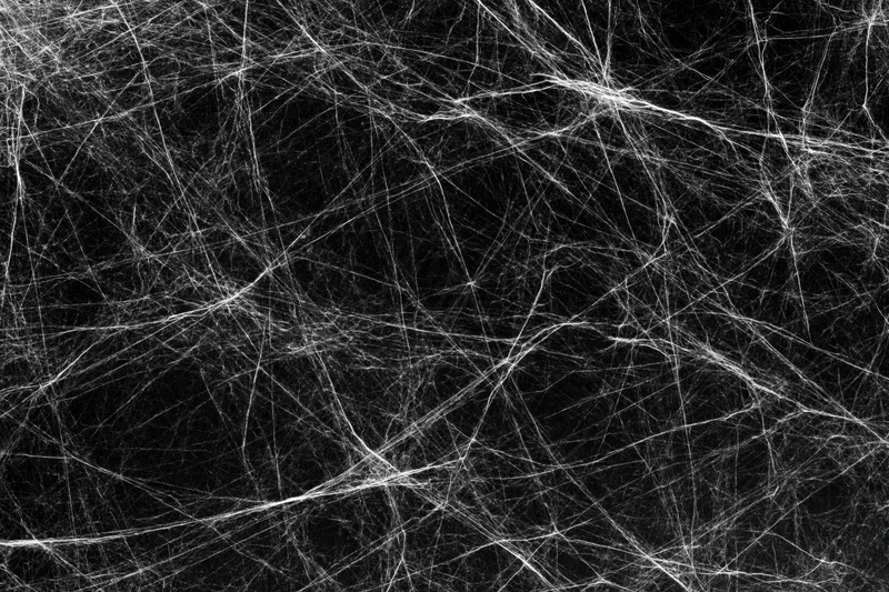 Tangled white spider webs spread across a flat dark surface