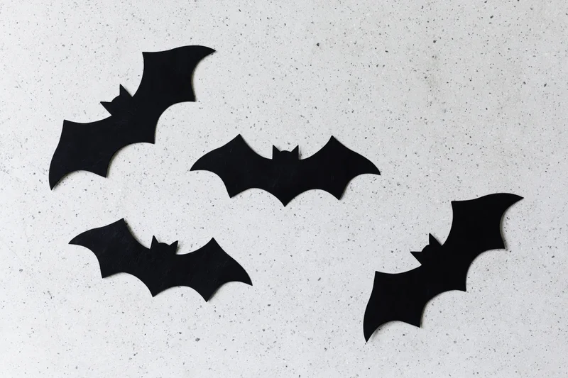 Black paper bat cutouts arranged on a speckled white surface for halloween decoration
