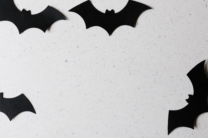 Black paper bat cutouts arranged as halloween decoration on white speckled surface
