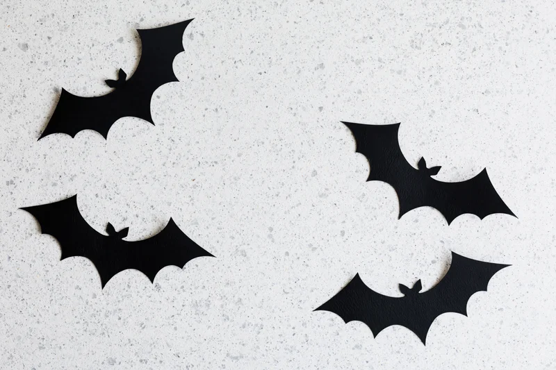 Black paper bat cutouts arranged as halloween decoration on speckled white surface