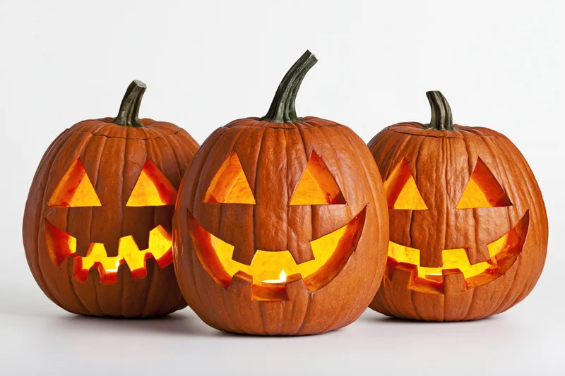 Three carved pumpkins glowing with candles inside, arranged in a row on a white surface