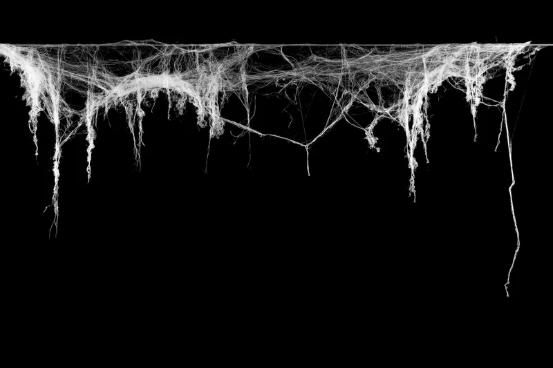 Tangled white spiderweb hanging from a horizontal line against black background
