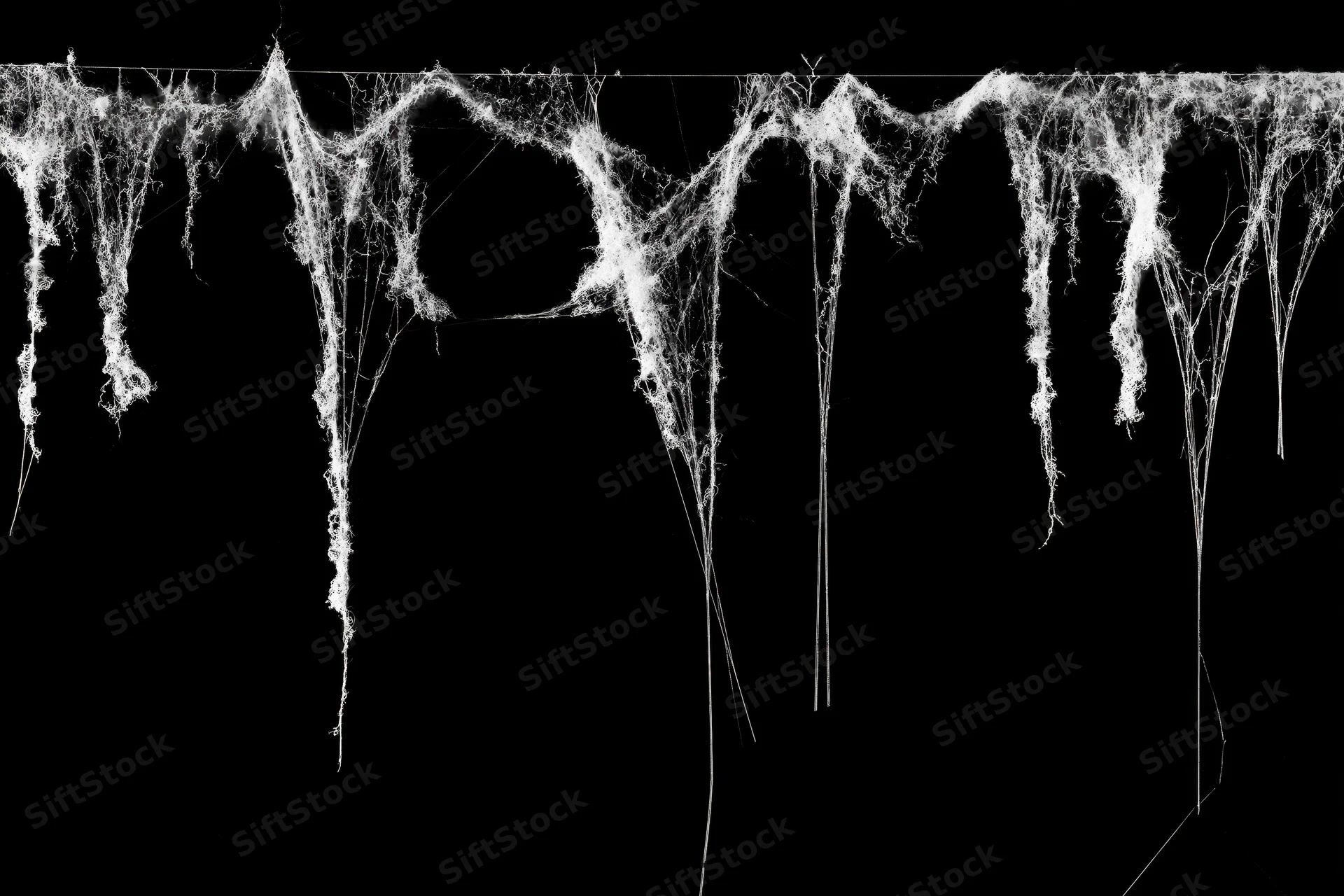 Tangled spiderweb hanging from a thin horizontal rod against black background