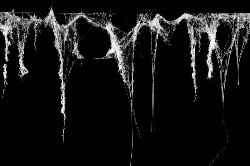 Tangled spiderweb hanging from a thin horizontal rod against black background