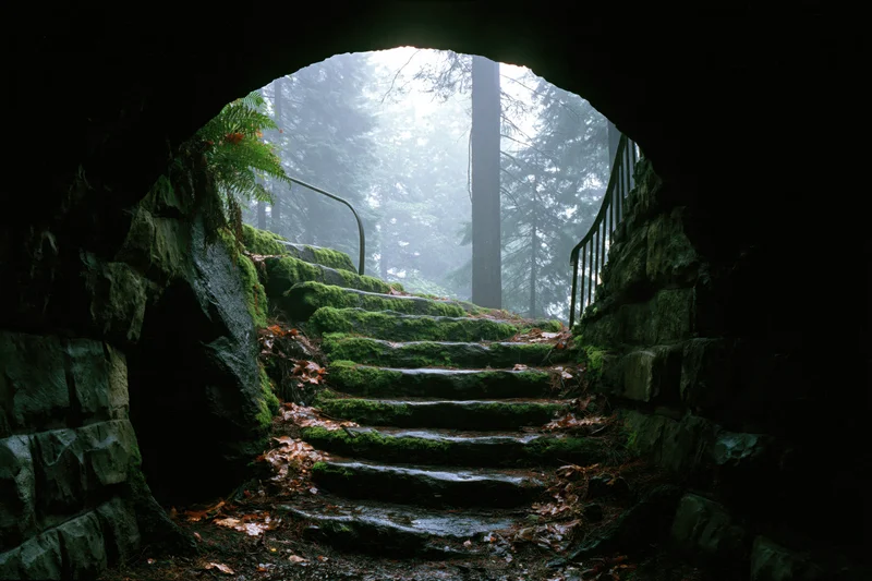 View from inside a dark stone tunnel archway looking out onto moss-covered steps leading into a misty forest