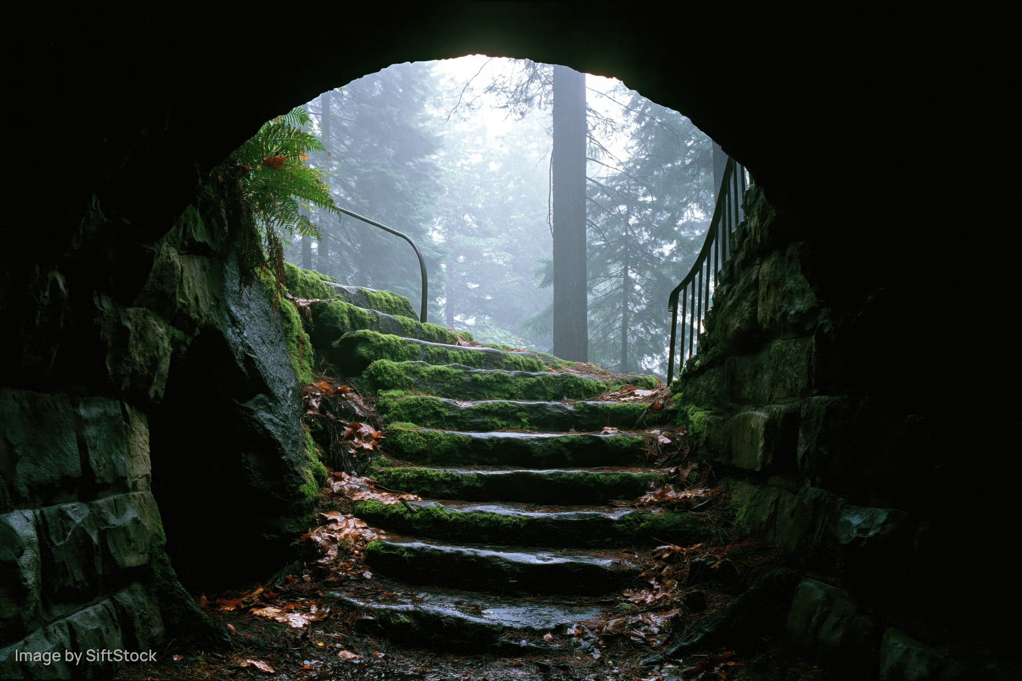 View from inside a dark stone tunnel archway looking out onto moss-covered steps leading into a misty forest