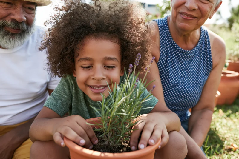 Child smiling while planting lavender in a terracotta pot with grandparents in a garden