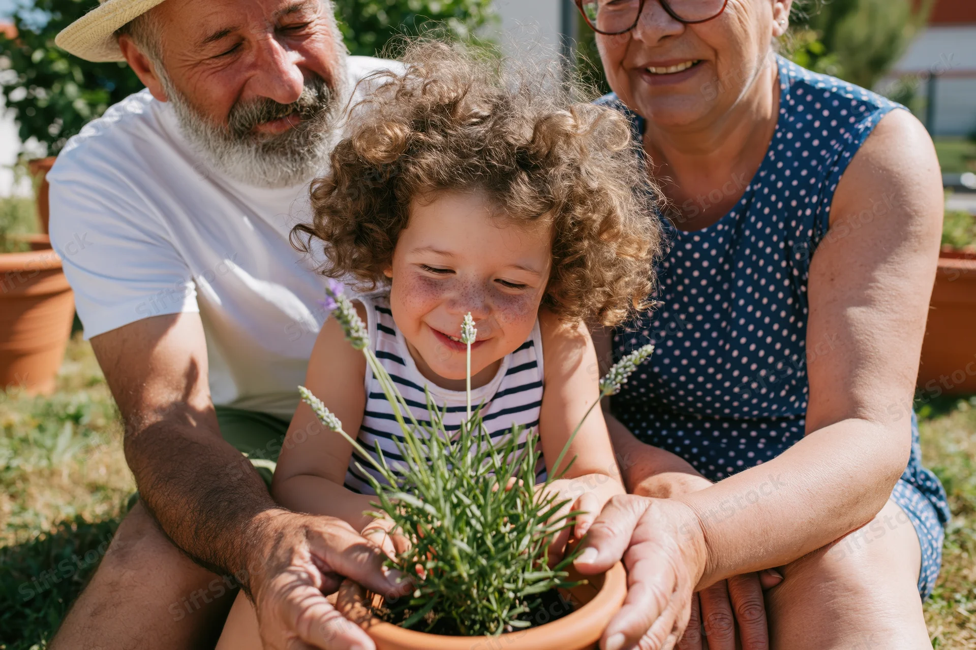 Child with grandparents tending a potted lavender plant in a sunny garden