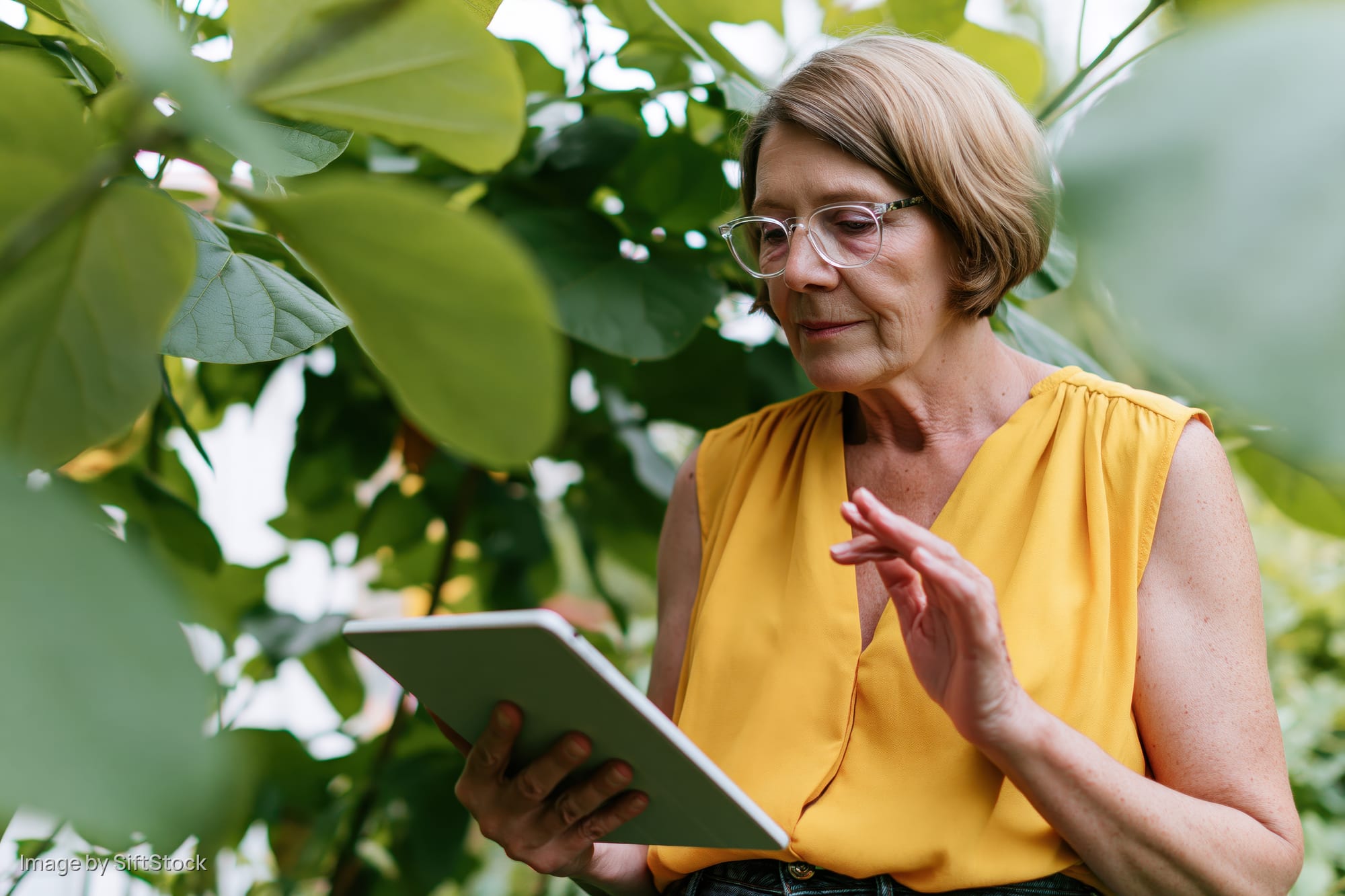 Woman examining a tablet among green leaves in a garden