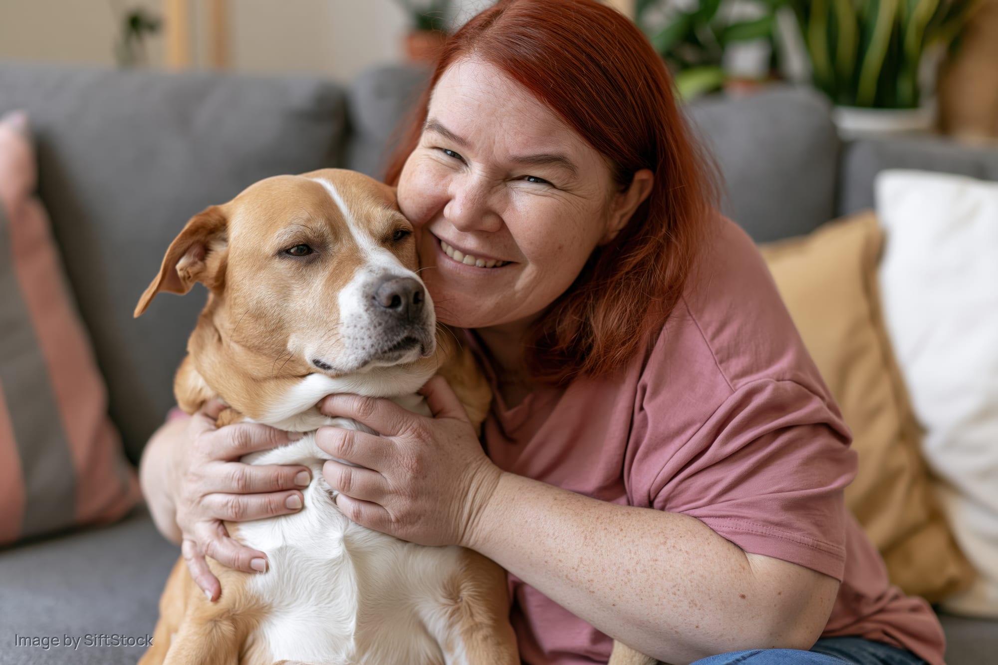 Woman hugging dog on gray sofa in living room
