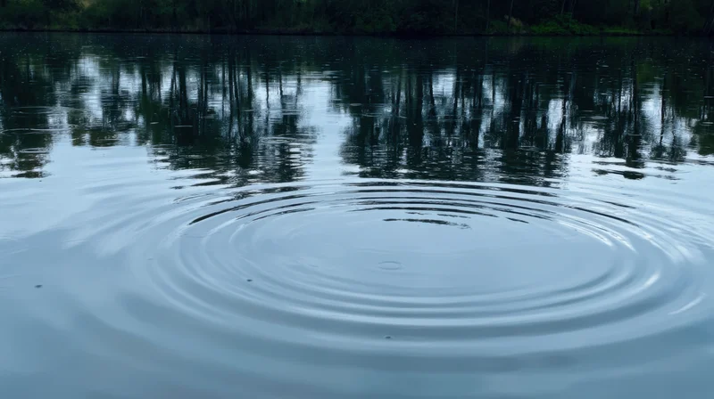 Concentric ripples spreading across calm lake surface reflecting trees and sky