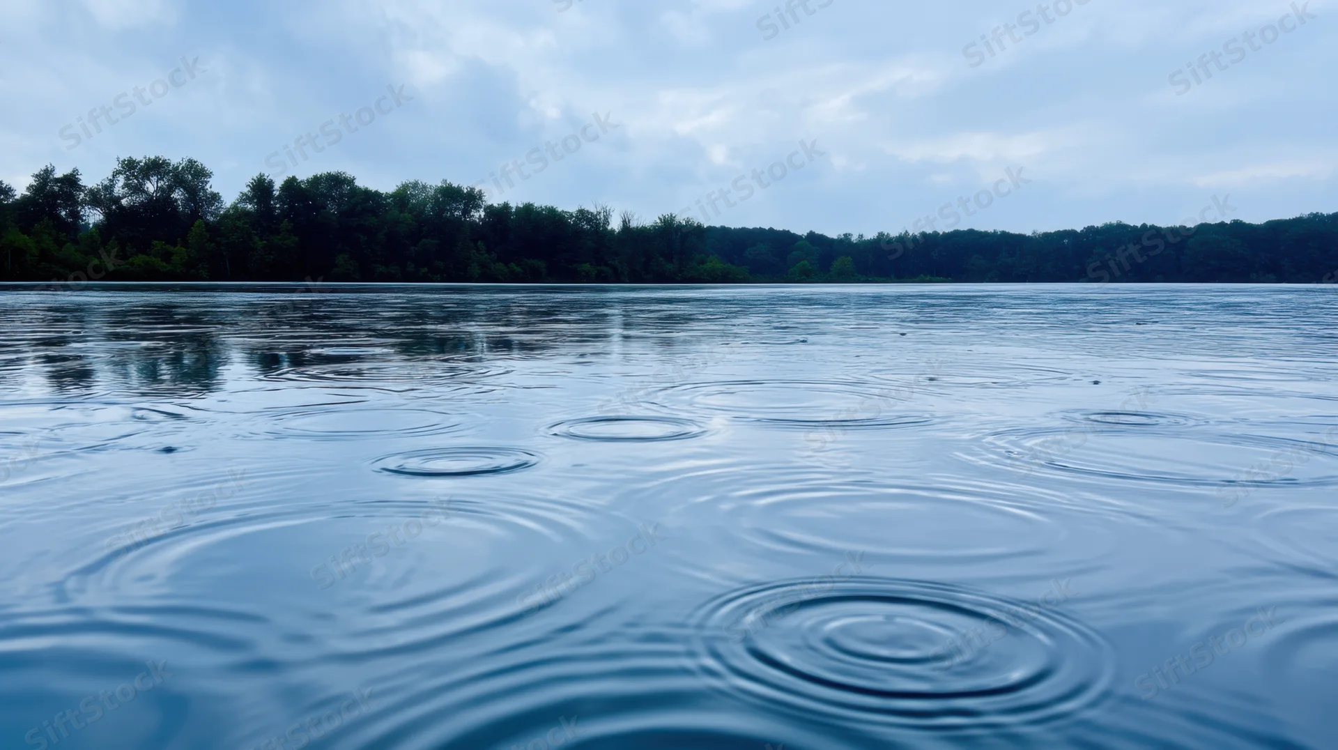 Raindrops creating ripples on a calm lake surface with forested shoreline under cloudy sky
