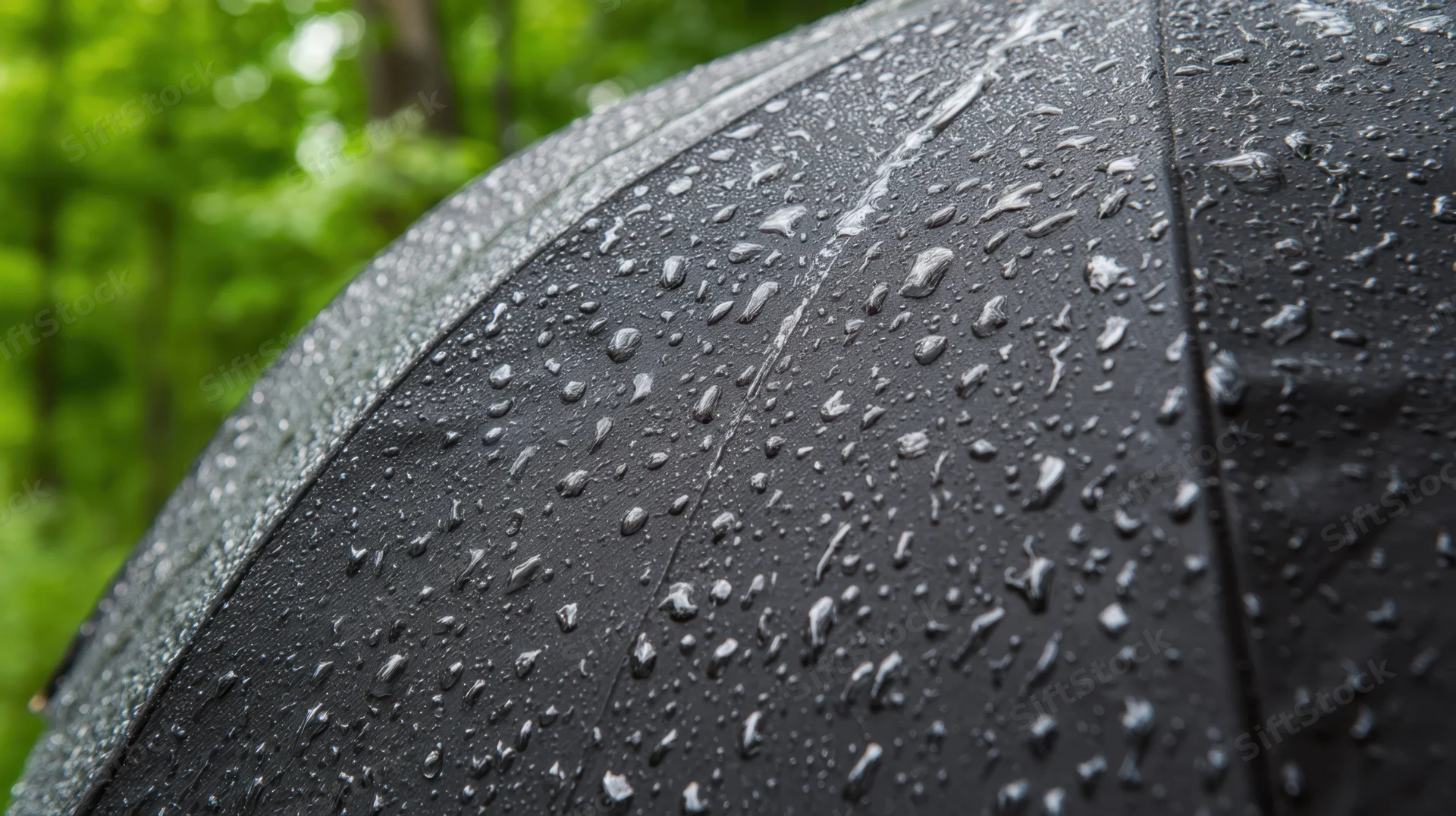 Close-up of a black umbrella covered in raindrops with green foliage in the background