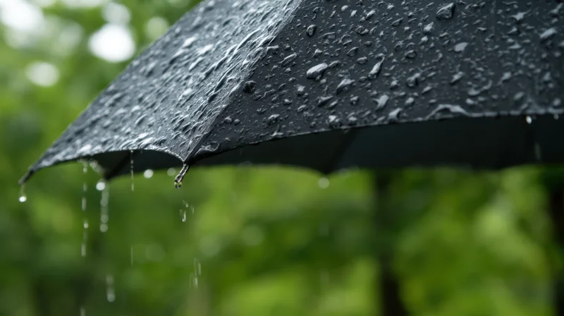 Close-up of a black umbrella with raindrops dripping from its edge against a blurred green foliage background