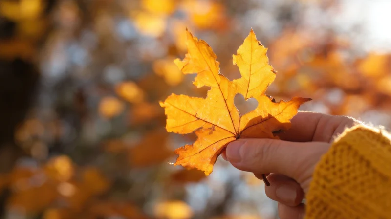 Hand holding a golden maple leaf with a heart-shaped hole against a blurred autumn background