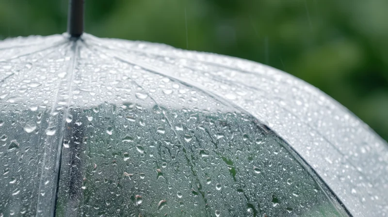 Close-up of a translucent umbrella covered in raindrops with blurred green foliage in the background