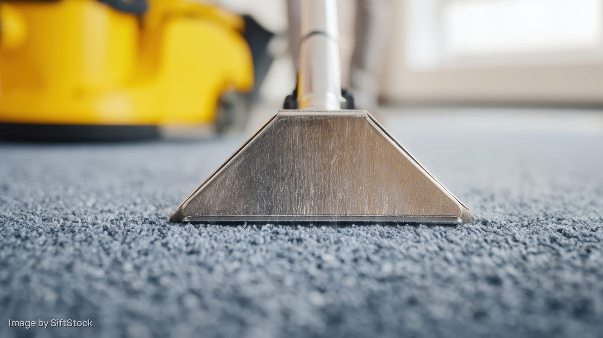 Vacuum cleaner head on blue carpet during cleaning process
