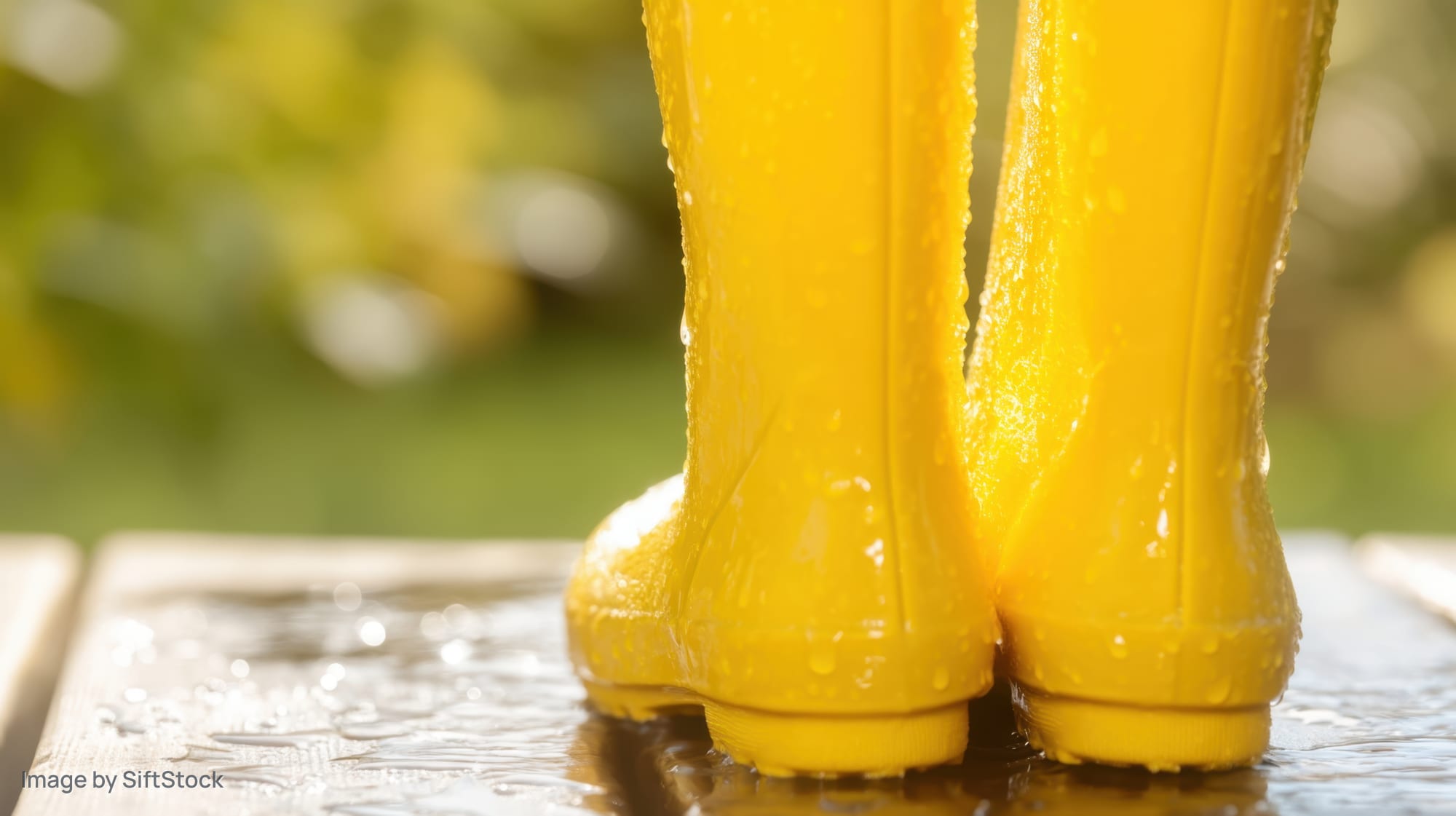 Bright yellow rainboots with water droplets on a wet wooden deck outdoors