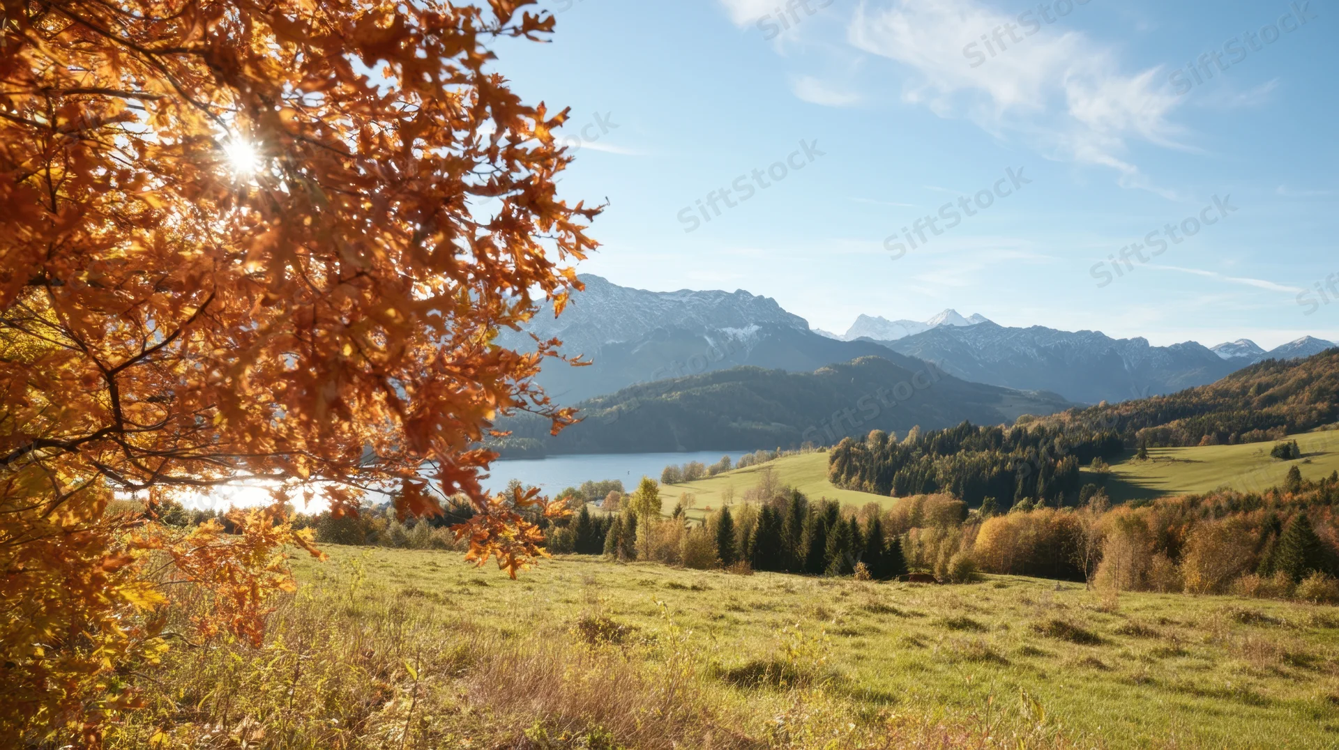 Sunlit autumn landscape with golden foliage framing a lake and mountains in the distance
