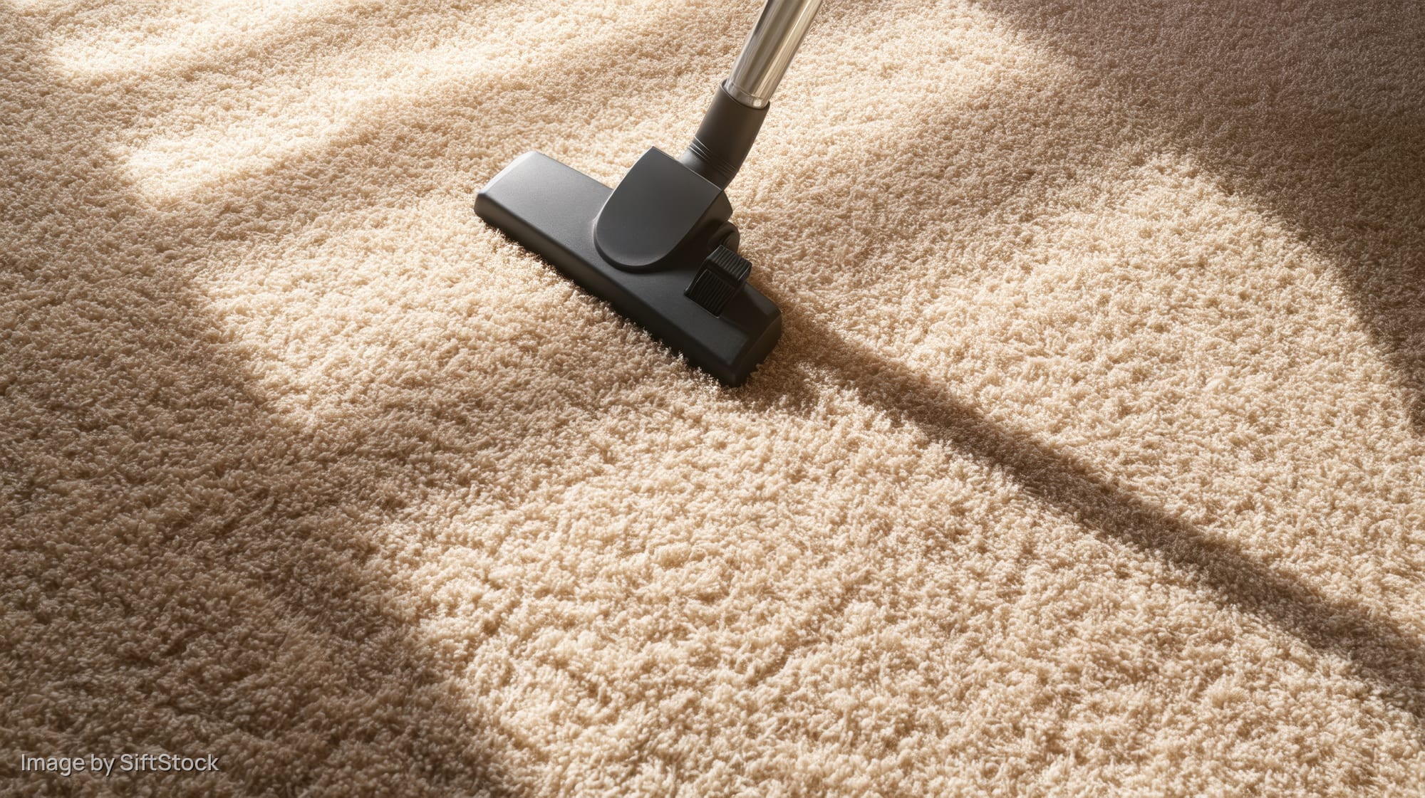 Vacuum head gliding over beige carpet in sunlit room