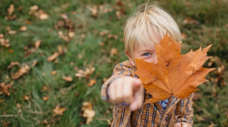Young boy holding maple leaf and pointing toward camera in autumn grass