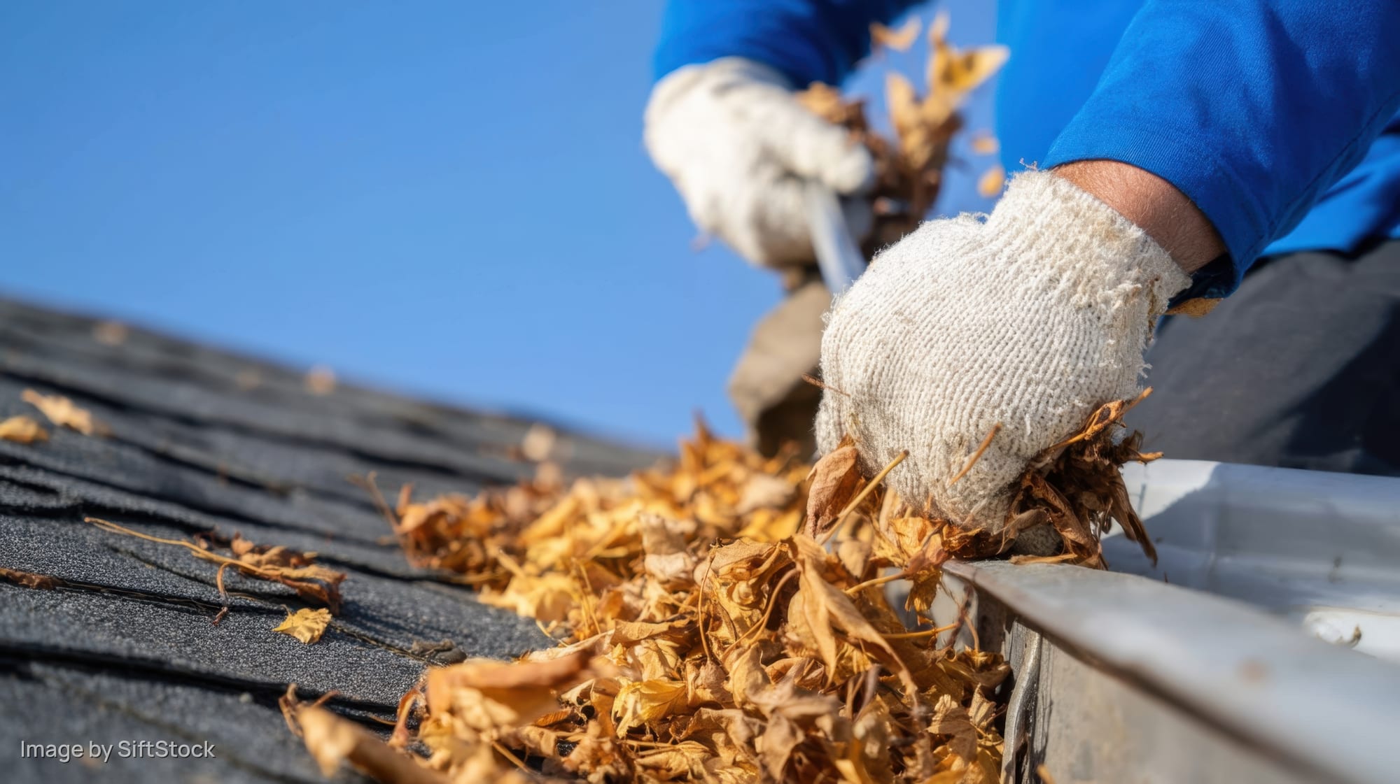 Worker cleaning gutters of fallen leaves on a roof during daytime