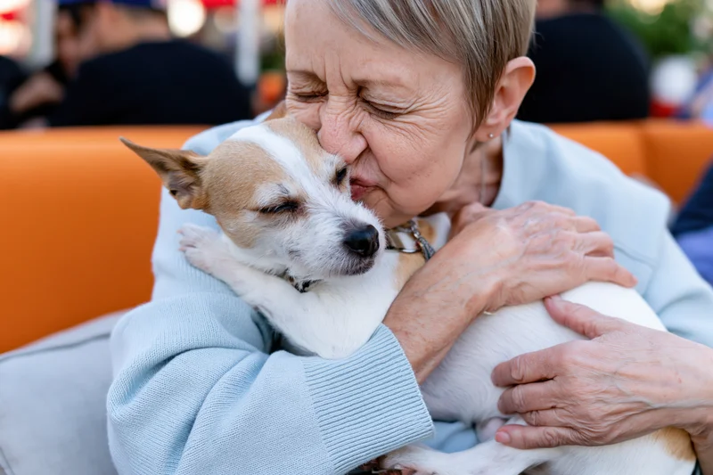 Senior woman hugging and kissing a small white and tan terrier on an orange couch outdoors