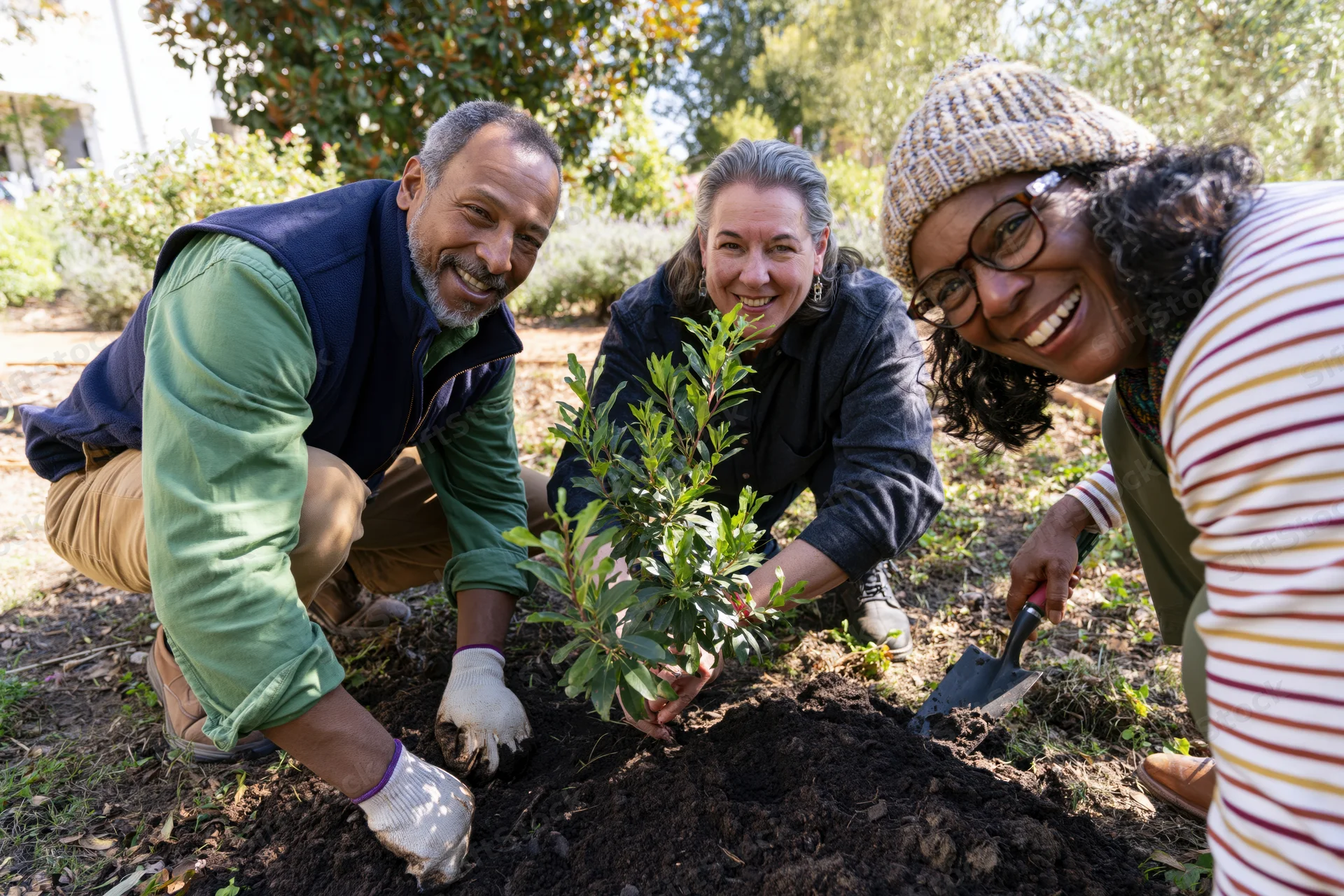 Three friends planting a young shrub in a sunlit garden