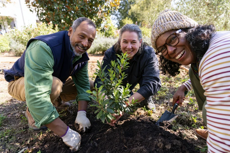 Three friends planting a young shrub in a sunlit garden
