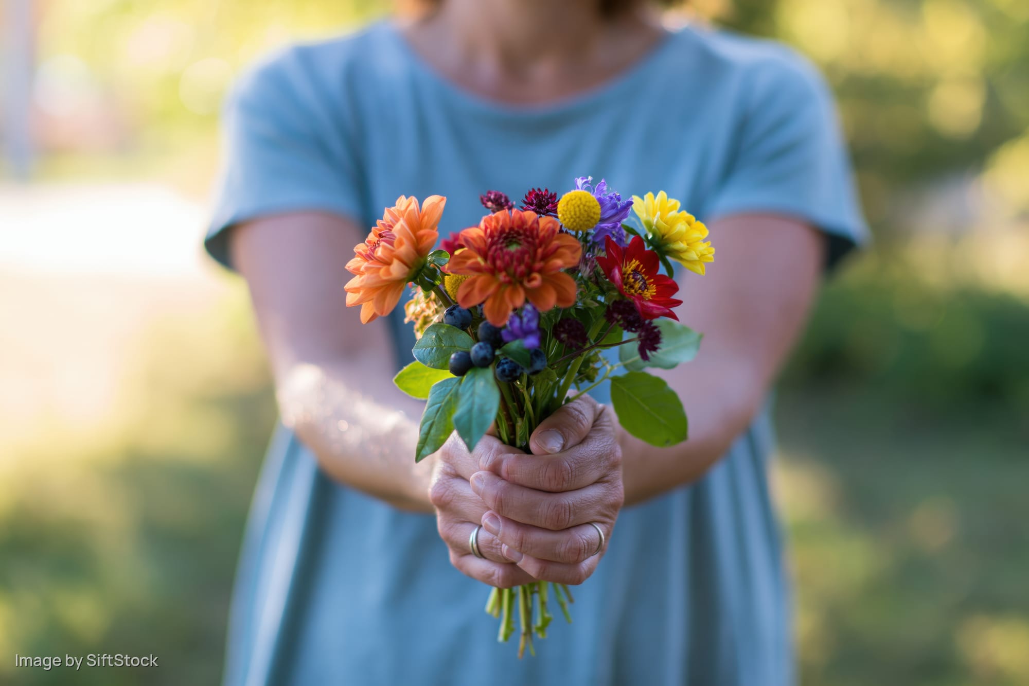 Woman holding a colorful bouquet of wildflowers outdoors in a garden