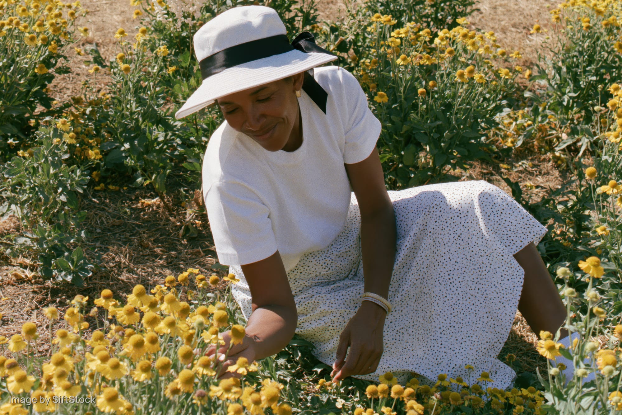 Young woman kneeling in a garden of yellow flowers, tending to blooms in sunlight