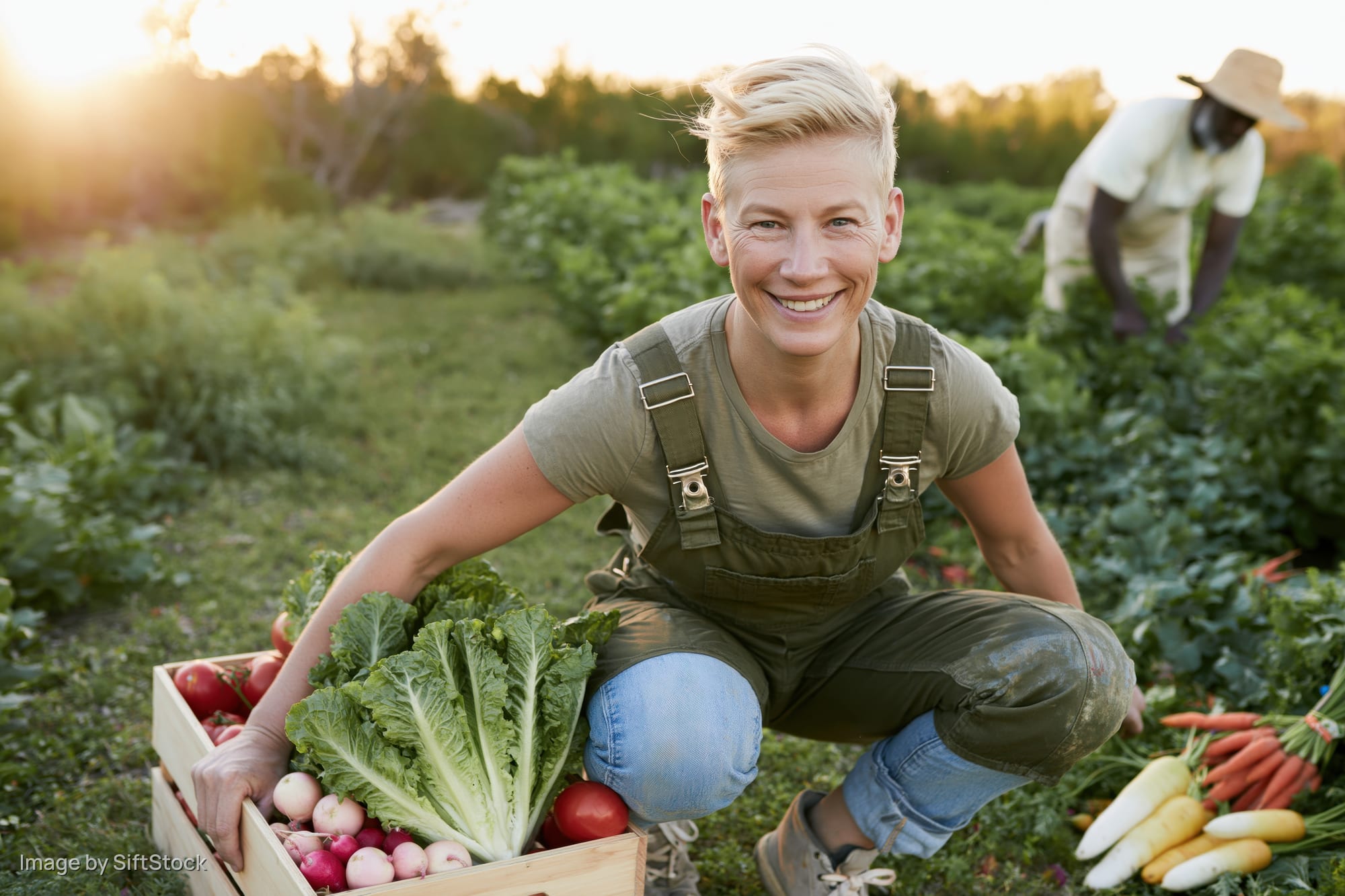 Young woman crouching with a wooden box of fresh vegetables in a garden at sunset
