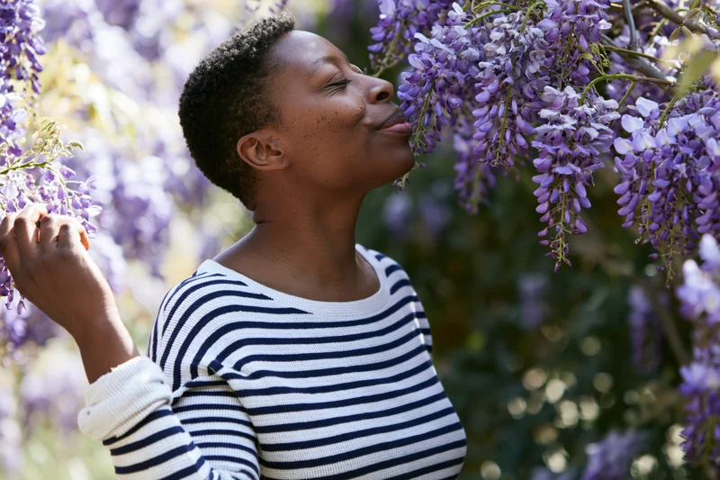 Black woman smelling wisteria flowers in a garden during spring daytime
